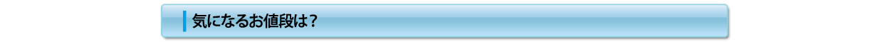 気になるお値段は?